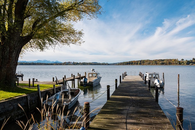 的一举一动 的一举一动