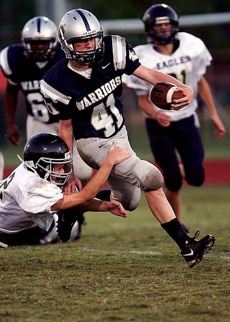 形式的营私 形式的营私