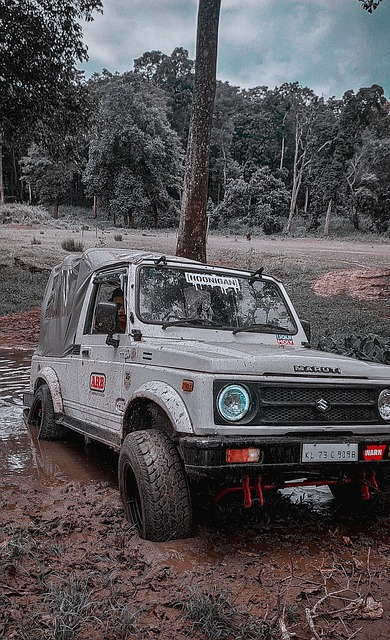 力的成熟心 力的成熟心