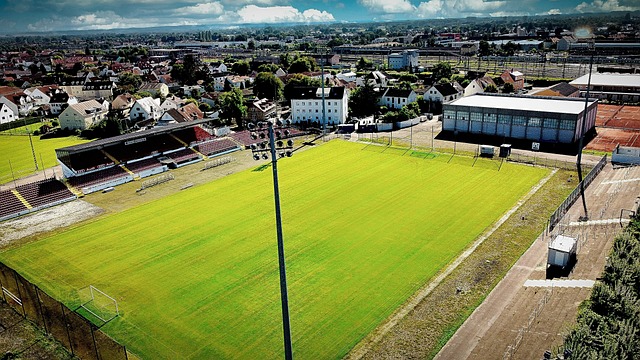 為自己的籃 為自己的籃