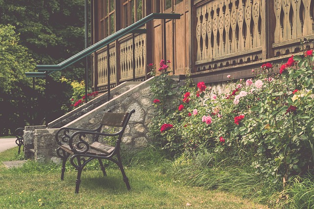 来发展的成 来发展的成