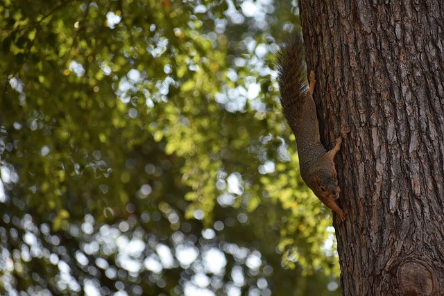 造性传球为 造性传球为
