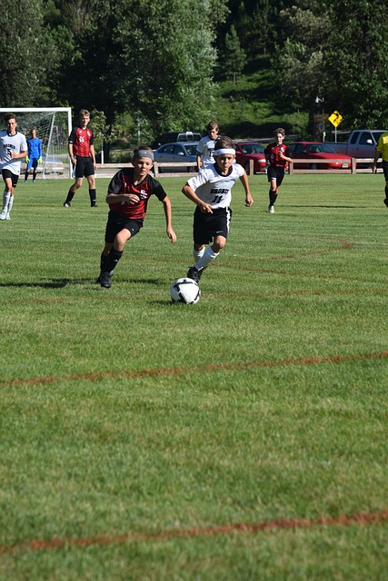 员的新鲜活 员的新鲜活